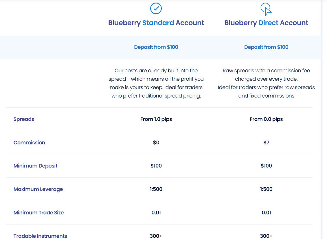 Types de comptes de trading personnalisés de Blueberry Markets